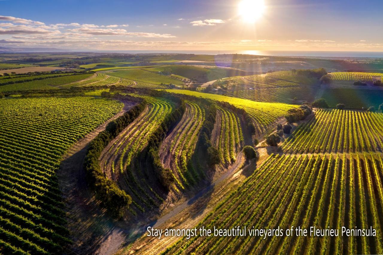 The Old Chaff Mill Organic Vineyard Retreat Bed & Breakfast Sellicks Hill ภายนอก รูปภาพ