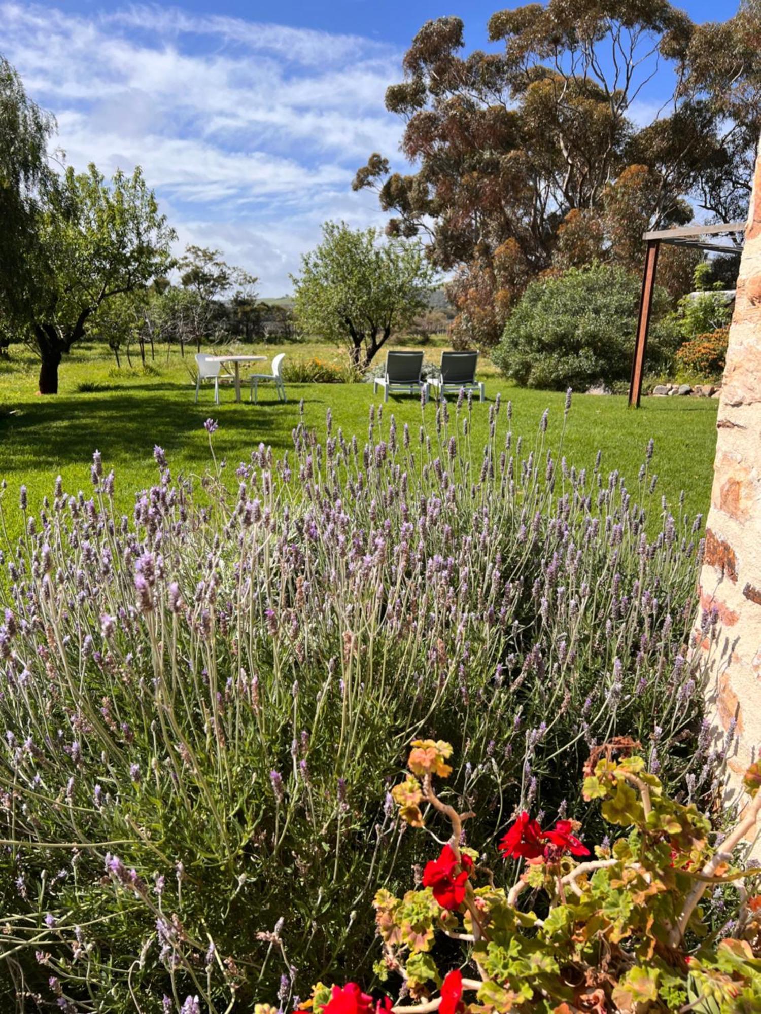 The Old Chaff Mill Organic Vineyard Retreat Bed & Breakfast Sellicks Hill ภายนอก รูปภาพ